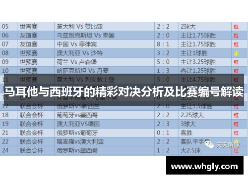 马耳他与西班牙的精彩对决分析及比赛编号解读