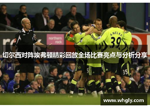 切尔西对阵埃弗顿精彩回放全场比赛亮点与分析分享