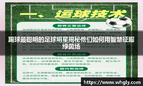 踢球最聪明的足球明星揭秘他们如何用智慧征服绿茵场